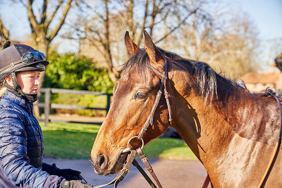 2023-01-21-Dominic-James-04072