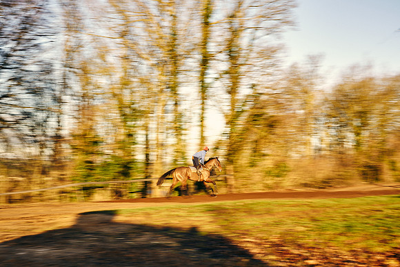 2023-01-26-Dominic-James-09219