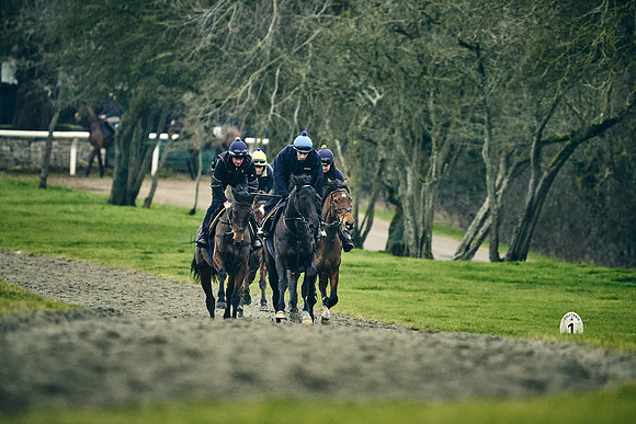 2023-01-31-Dominic-James-00456