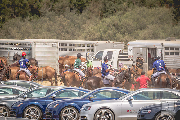2014080320140803-Dominic-James-PoloSF-Finals-004-AG3A7916.jpg