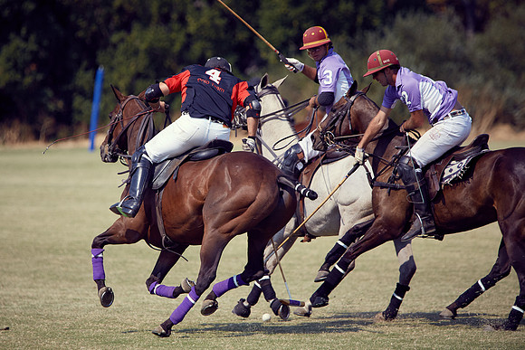 Oyster Cup Polo tournament