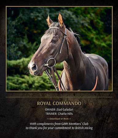 CH Royal Commando