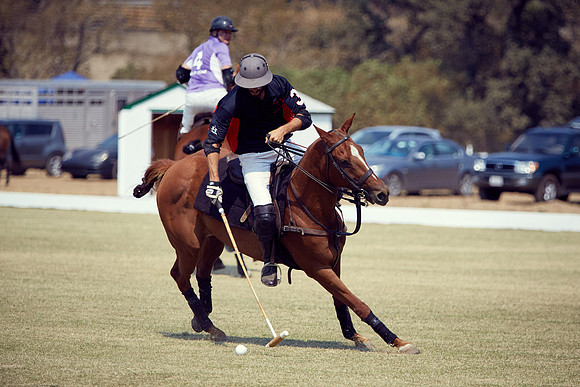 Oyster Cup Polo tournament