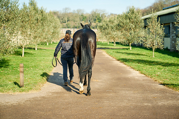 2023-02-15-Dominic-James-01087
