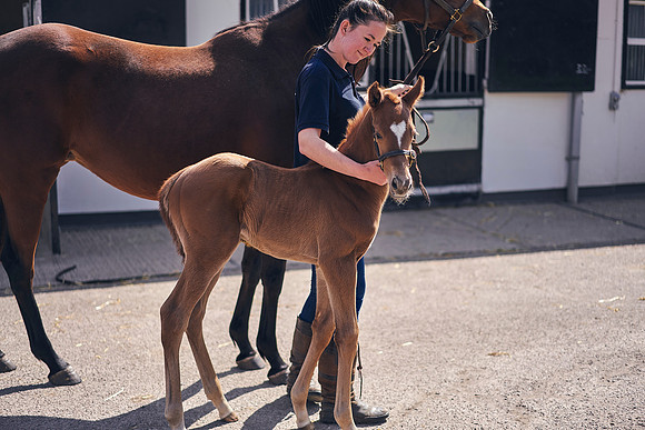The-National-Stud-Dominic-James_DOM9806