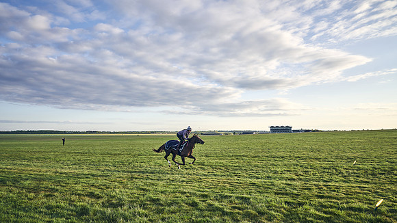 SUMMER GALLOPS-2nd-May-DJ-0335