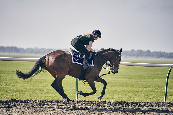 GEORGE-BOUGHEY-RACING-DJ-3428