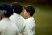 20130411-cricket-AG3A6721
