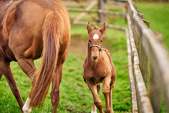 2023-03-08-Dominic-James-0094