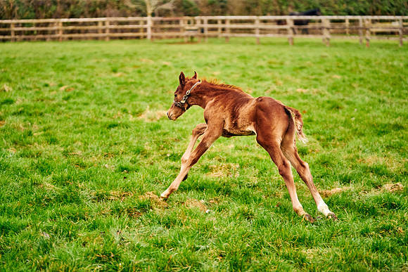 2023-03-08-Dominic-James-0102