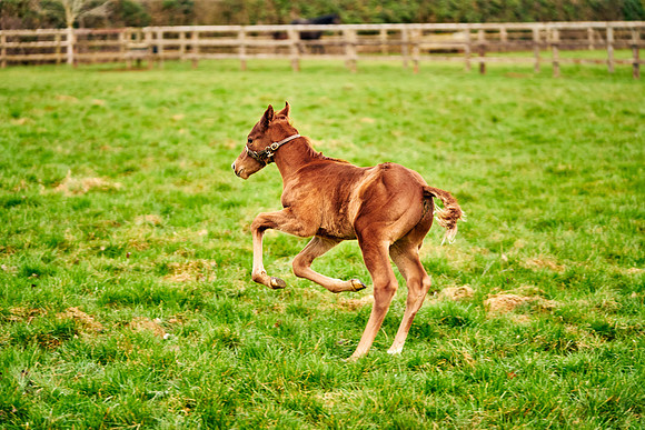 2023-03-08-Dominic-James-0101