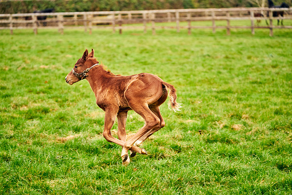 2023-03-08-Dominic-James-0100