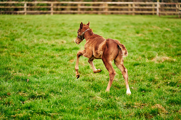 2023-03-08-Dominic-James-0105