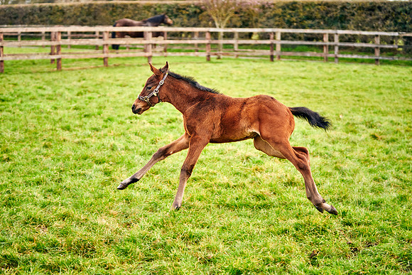 2023-03-08-Dominic-James-0793
