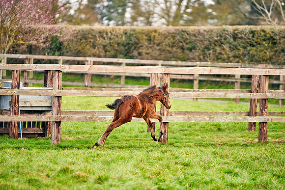 2023-03-08-Dominic-James-0819