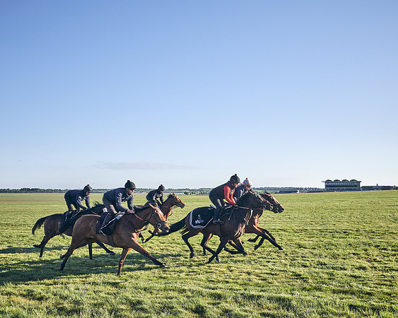 SUMMER GALLOPS-2nd-May-DJ-1394