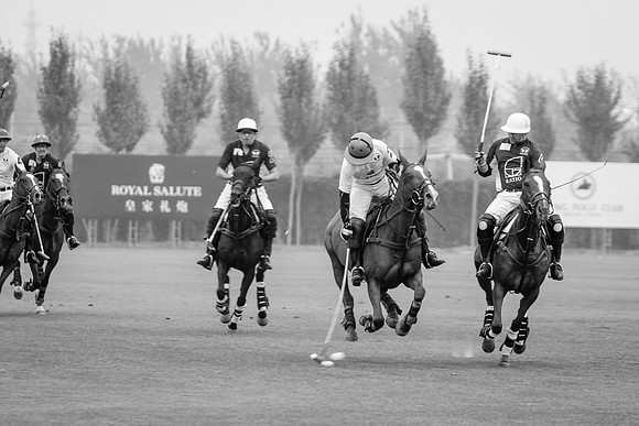 Royal Salute Gold Cup 2012 China Polo Open Tournament