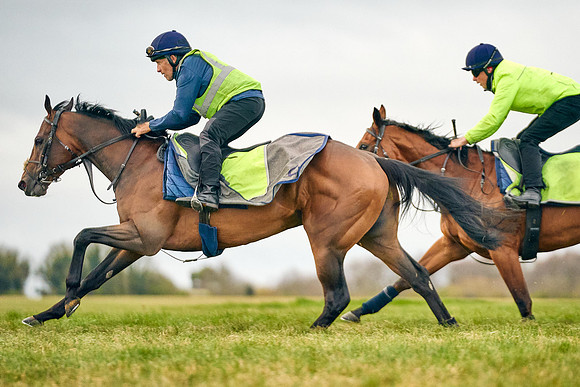 2022-04-06-Dominic-James-0450