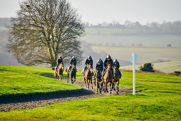 2023-03-23-Dominic-James-02335