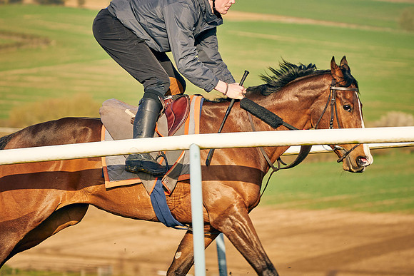 2023-03-23-Dominic-James-02608