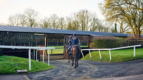 2023-03-24-Dominic-James-00002