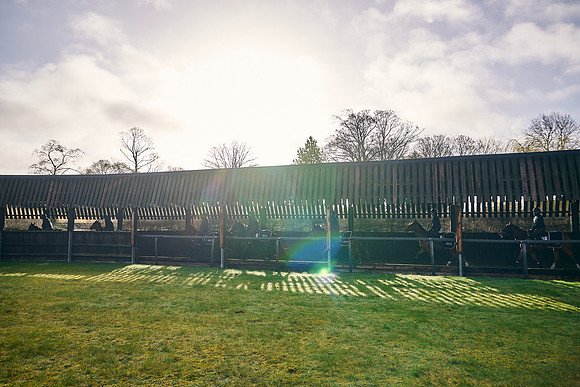 2023-03-24-Dominic-James-01164