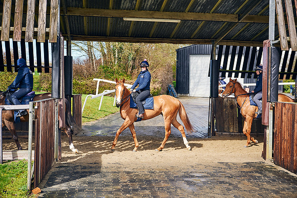 2023-03-24-Dominic-James-03558