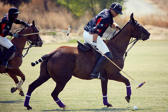 Oyster Cup Polo tournament