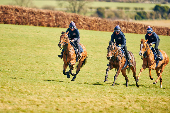 2023-03-24-Dominic-James-09542