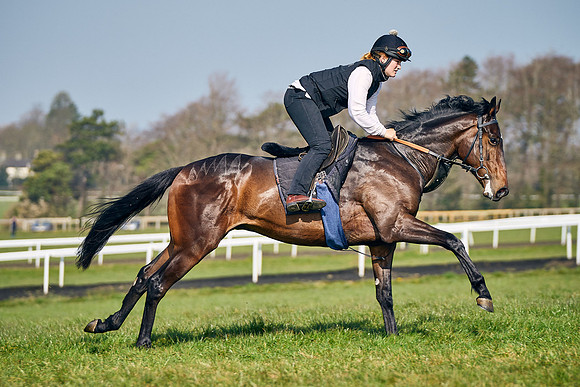 2022-03-22-Dominic-James-1408