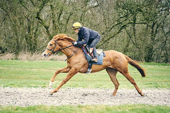 2023-03-28-Dominic-James-2919