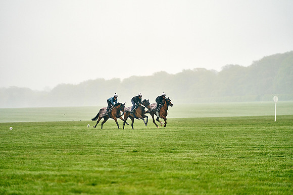 2023-04-28-Dominic-James-00263