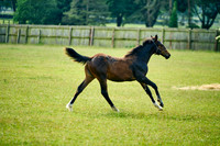 2025-06-09-Dominic-James-00333