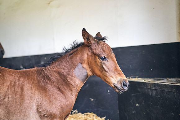 2023-05-03-Dominic-James-02012