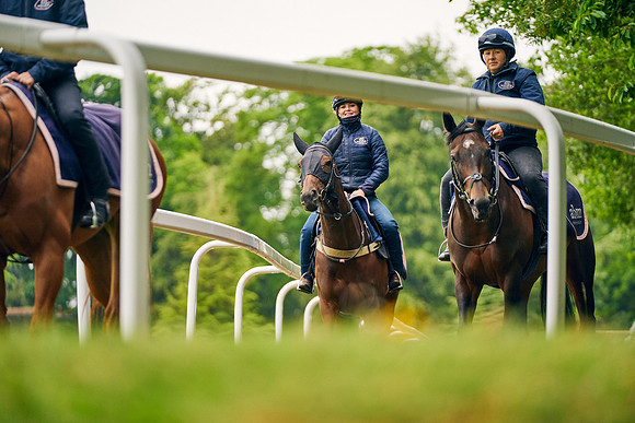 2023-06-07-Dominic-James-01996