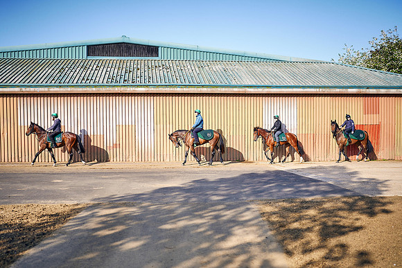 2023-05-16-Dominic-James-03691