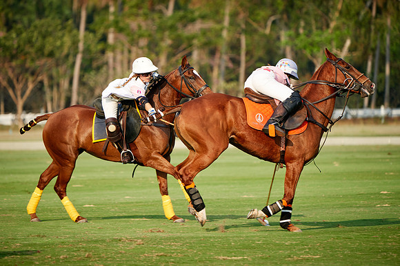 THAI-PINK-POLO-2019_DJ_2964