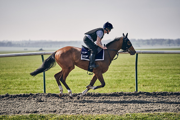 GEORGE-BOUGHEY-RACING-DJ-3379