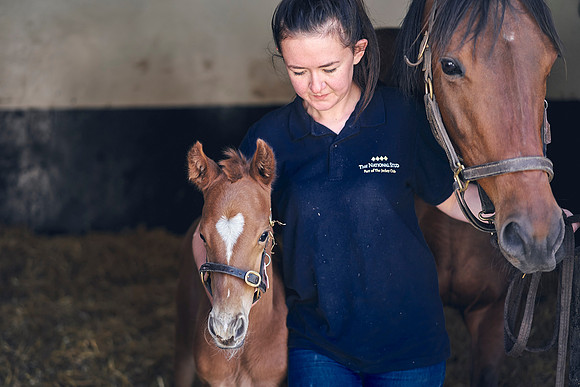 The-National-Stud-Dominic-James_DOM9783
