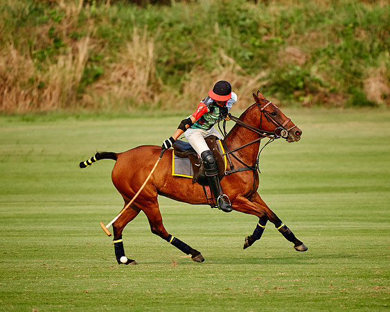 THAI-POLO-PRACTICE-2020-01-21-Dominic-James_DJ91803.ARW8626