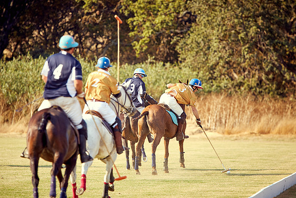Oyster Cup Polo tournament