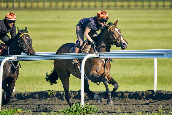2022-06-11-Dominic-James-0337