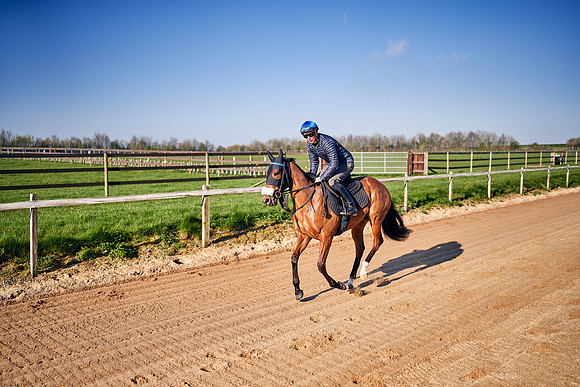 2023-04-20-Dominic-James-00532