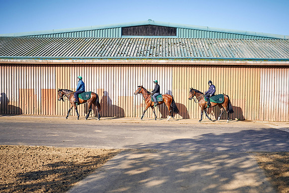 2023-05-16-Dominic-James-03713