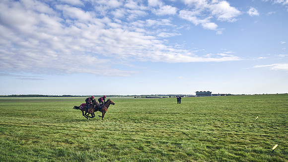 SUMMER GALLOPS-2nd-May-DJ-1737