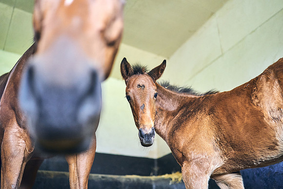 2023-05-03-Dominic-James-04337