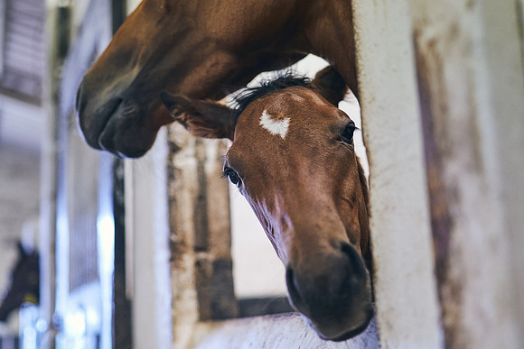 2023-05-03-Dominic-James-00239
