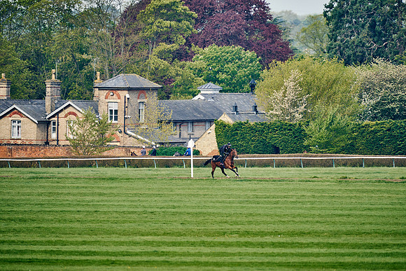 2023-05-04-Dominic-James-02690