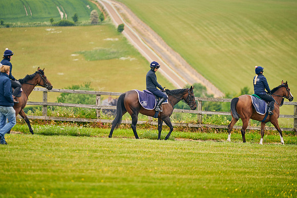 2023-06-07-Dominic-James-02211