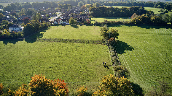 22-10-11-Domini-James-DJI_0041